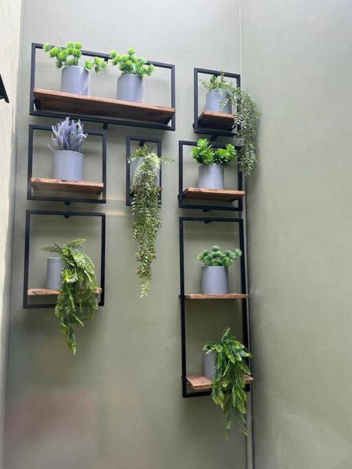 과달라하라 Casa Familiar Con Alberca Privada Climatizada 빌라 외부 사진